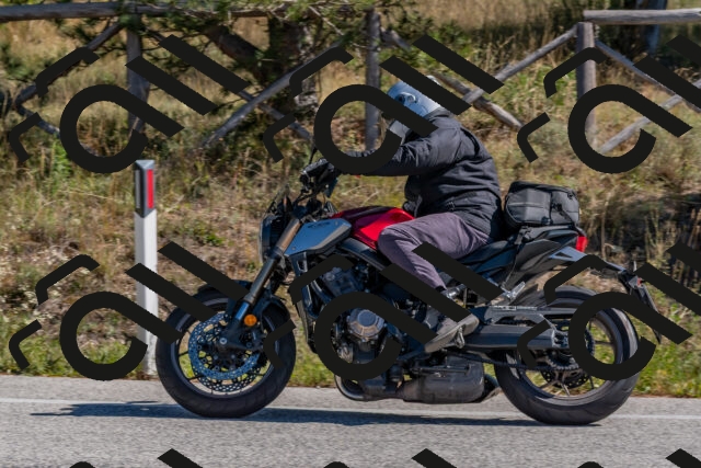 202510041145-DSC_6282_c4_