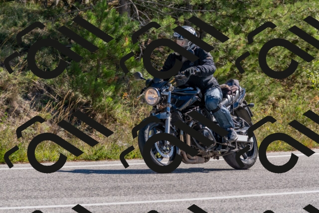 202510041145-DSC_6285_c4_