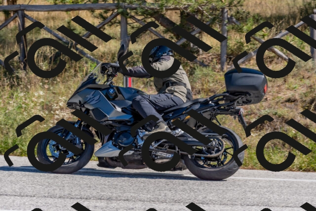 202510041147-DSC_6298_c4_