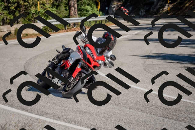 202510041148-DSC_6302_c4_