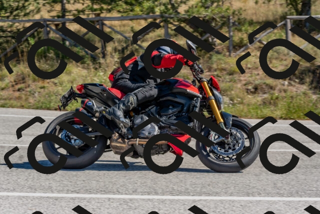 202510041148-DSC_6310_c4_