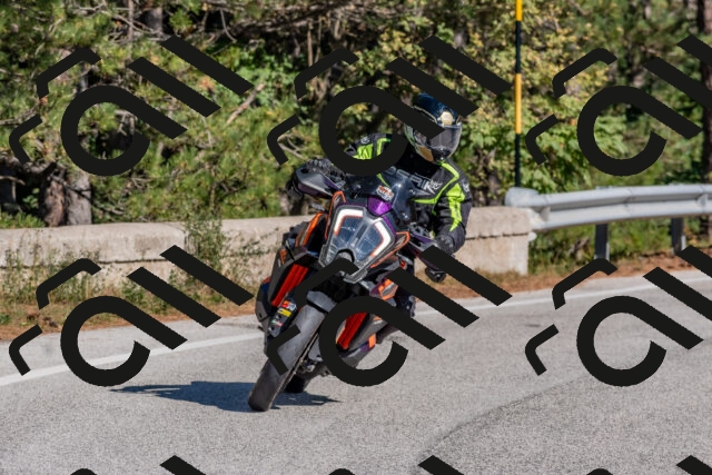 202510041151-DSC_6316_c4_