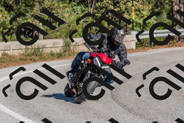 202510041156-DSC_6323_c4_