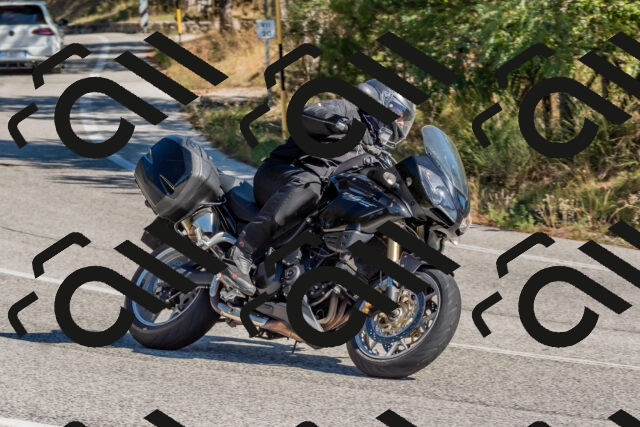 202510041156-DSC_6333_c4_