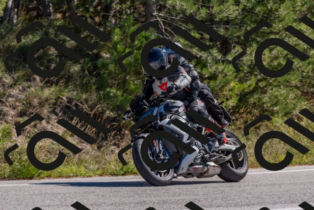 202510041157-DSC_6350_c4_