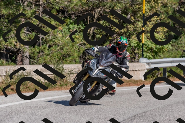 202510041157-DSC_6354_c4_