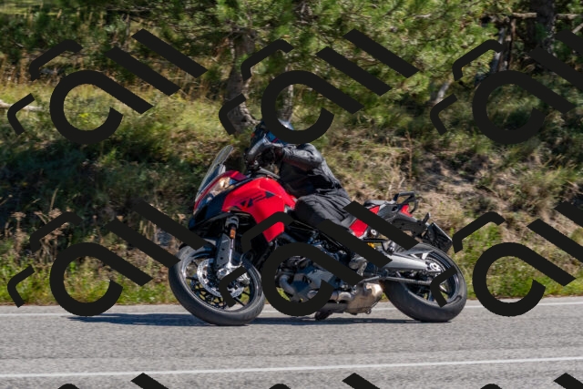 202510041158-DSC_6375_c4_