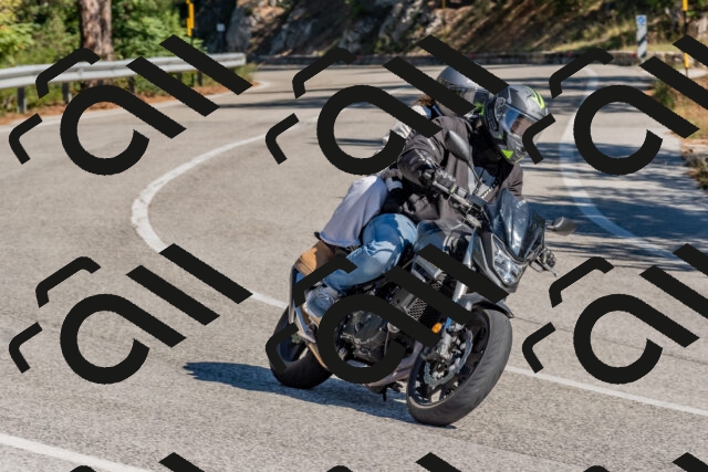 202510041158-DSC_6377_c4_