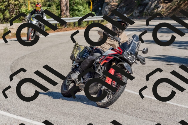 202510041159-DSC_6387_c4_