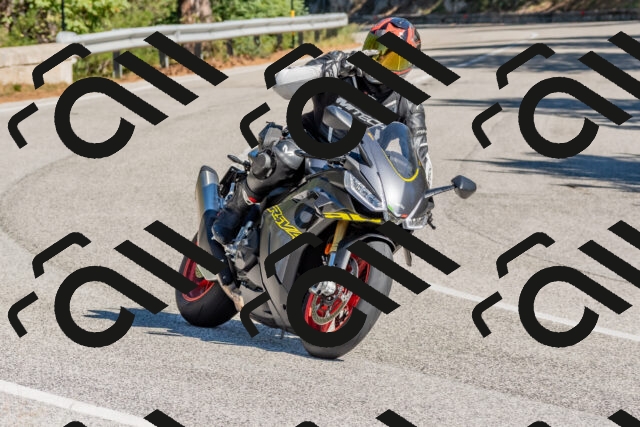 202510041159-DSC_6390_c4_