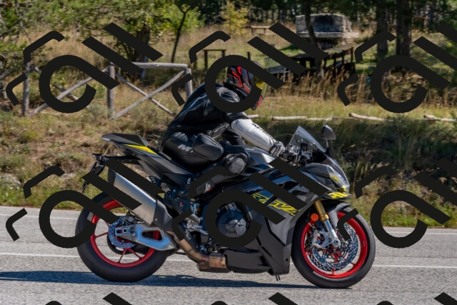 202510041159-DSC_6393_c4_