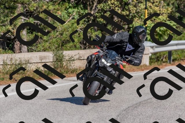 202510041201-DSC_6401_c4_