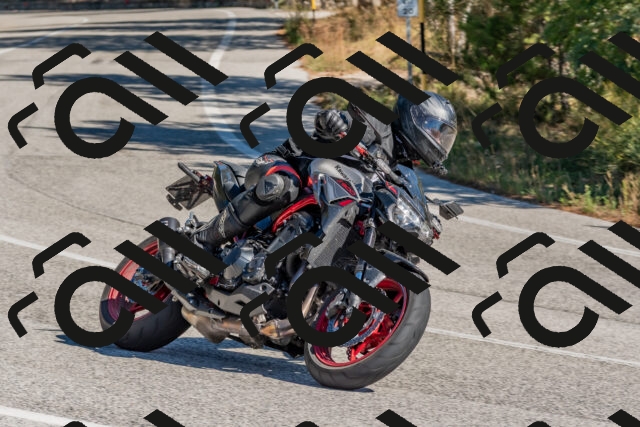 202510041201-DSC_6403_c4_