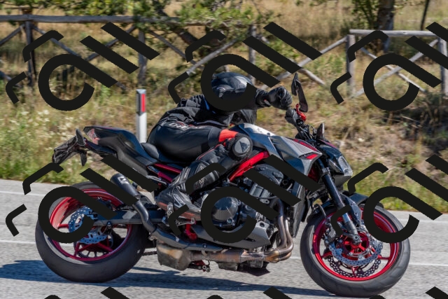 202510041201-DSC_6404_c4_