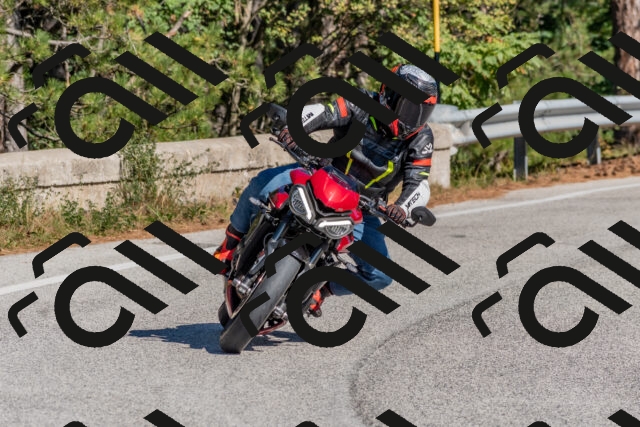 202510041202-DSC_6406_c4_