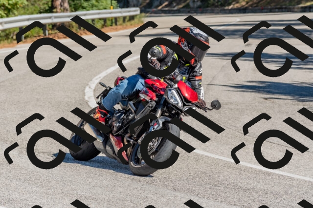 202510041202-DSC_6407_c4_