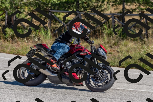 202510041202-DSC_6408_c4_