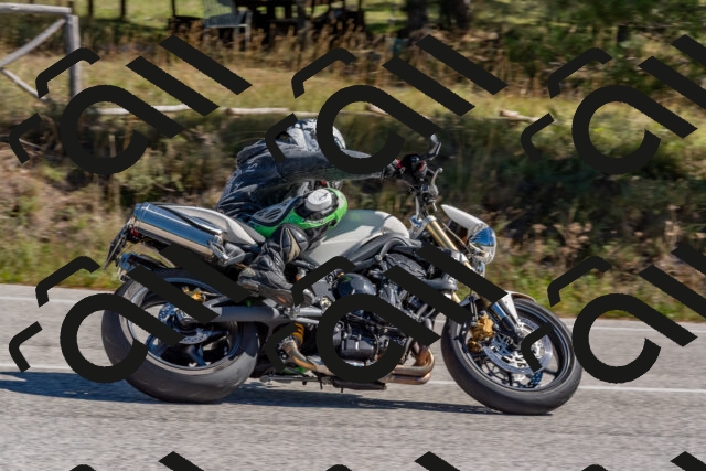 202510041206-DSC_6417_c4_