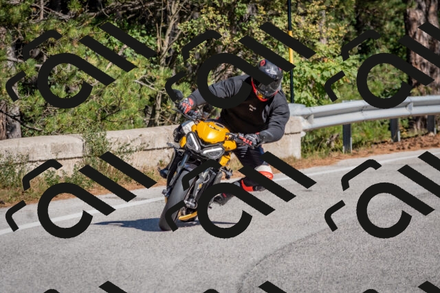 202510041206-DSC_6419_c4_