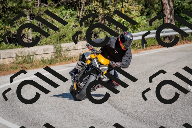 202510041206-DSC_6420_c4_