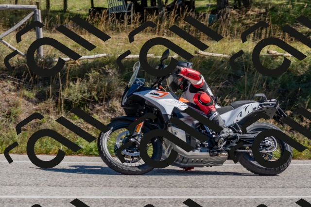 202510041206-DSC_6423_c4_