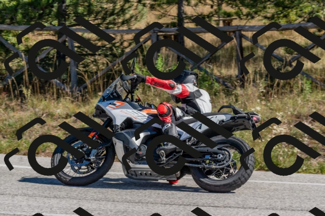 202510041206-DSC_6424_c4_