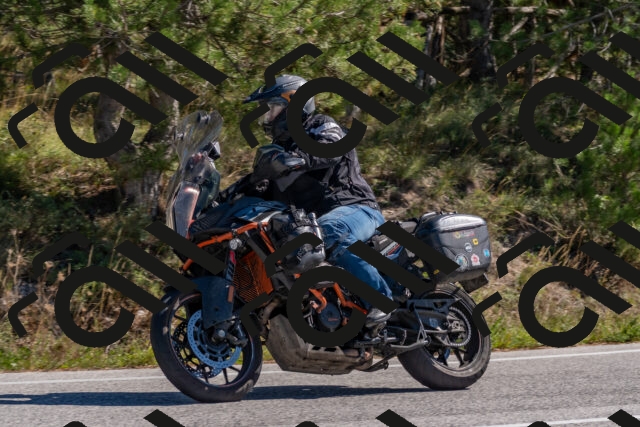 202510041206-DSC_6425_c4_