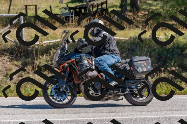 202510041206-DSC_6426_c4_