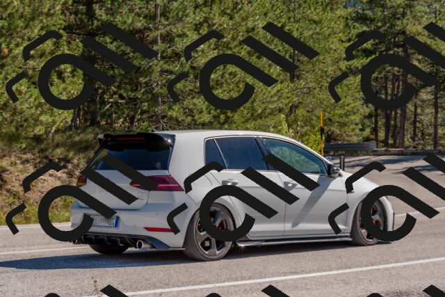 202510041209-DSC_6430_c4_