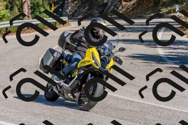 202510041213-DSC_6440_c4_