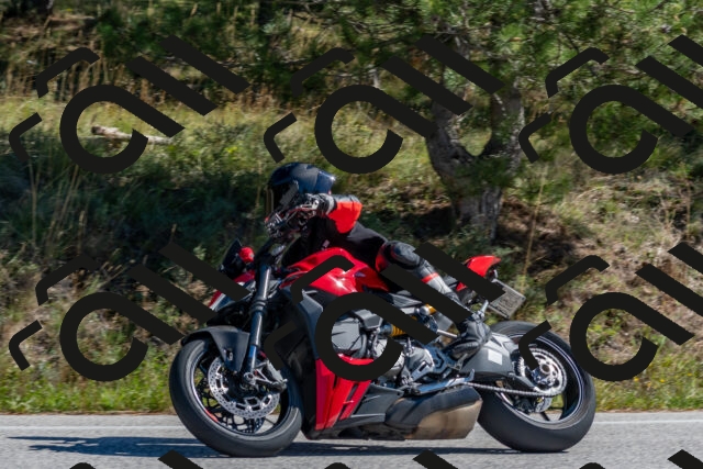 202510041213-DSC_6444_c4_