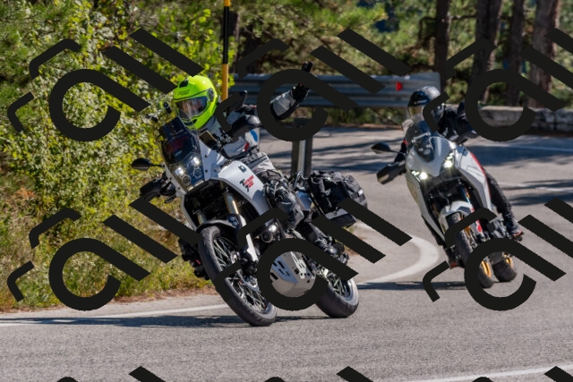 202510041215-DSC_6453_c4_