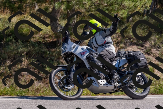 202510041215-DSC_6455_c4_