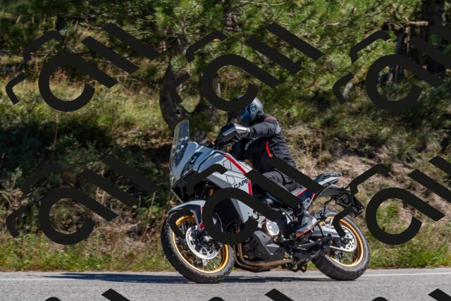 202510041215-DSC_6456_c4_