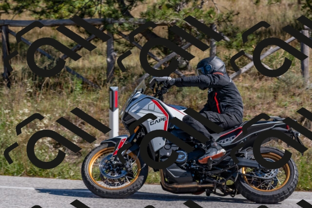 202510041215-DSC_6458_c4_