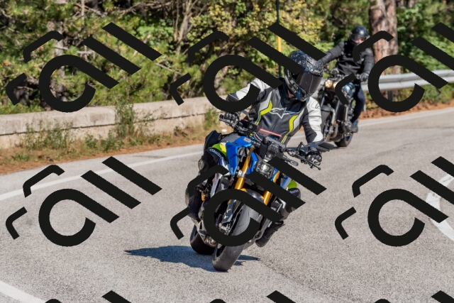 202510041215-DSC_6459_c4_