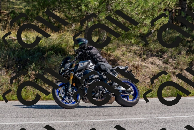 202510041215-DSC_6462_c4_