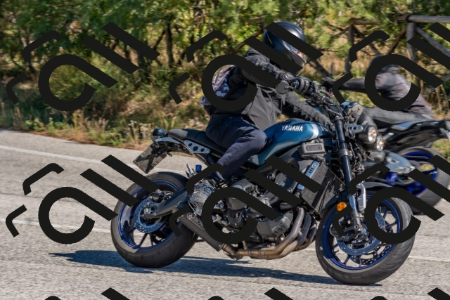 202510041215-DSC_6463_c4_