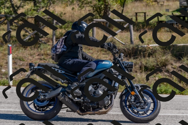 202510041215-DSC_6464_c4_