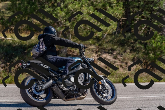 202510041215-DSC_6465_c4_