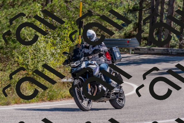 202510041217-DSC_6483_c4_