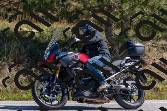 202510041217-DSC_6487_c4_