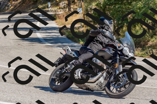 202510041217-DSC_6497_c4_