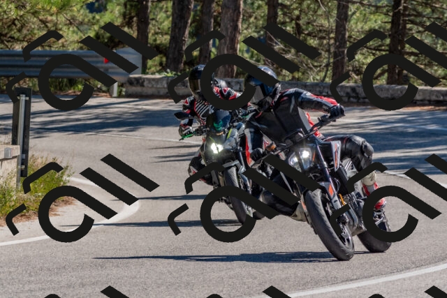 202510041222-DSC_6504_c4_