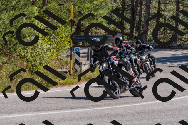 202510041222-DSC_6505_c4_