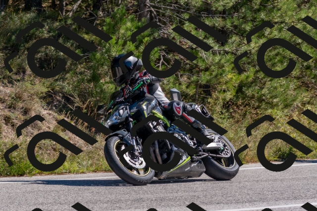 202510041222-DSC_6507_c4_