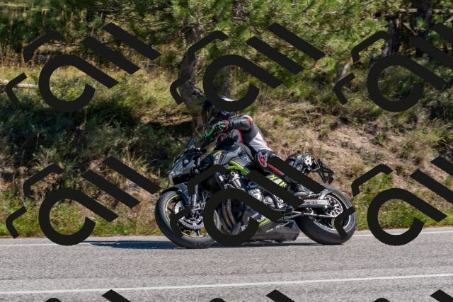 202510041222-DSC_6508_c4_