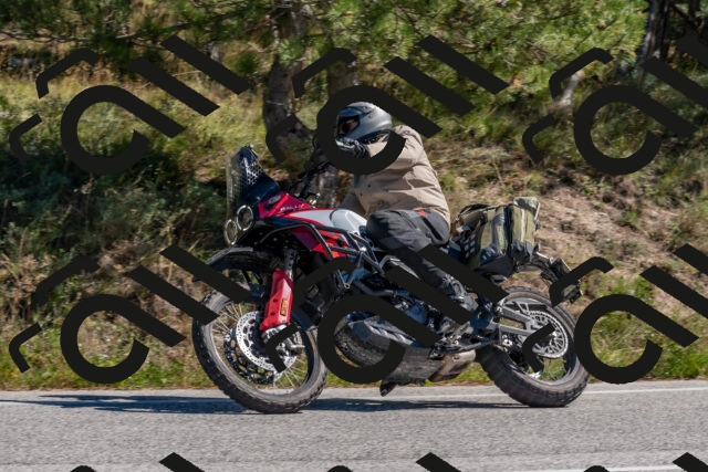 202510041226-DSC_6525_c4_