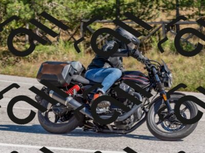 202510041227-DSC_6531_c4_