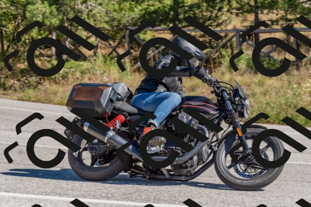 202510041227-DSC_6531_c4_